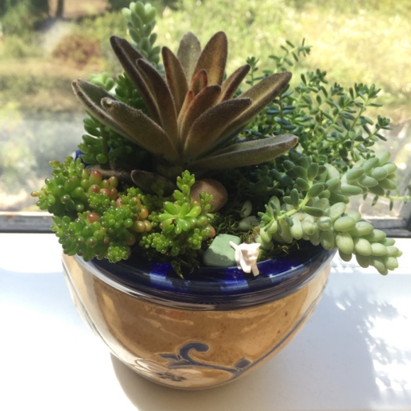 Meet your Posher, Farrah - Picture 2 of 4